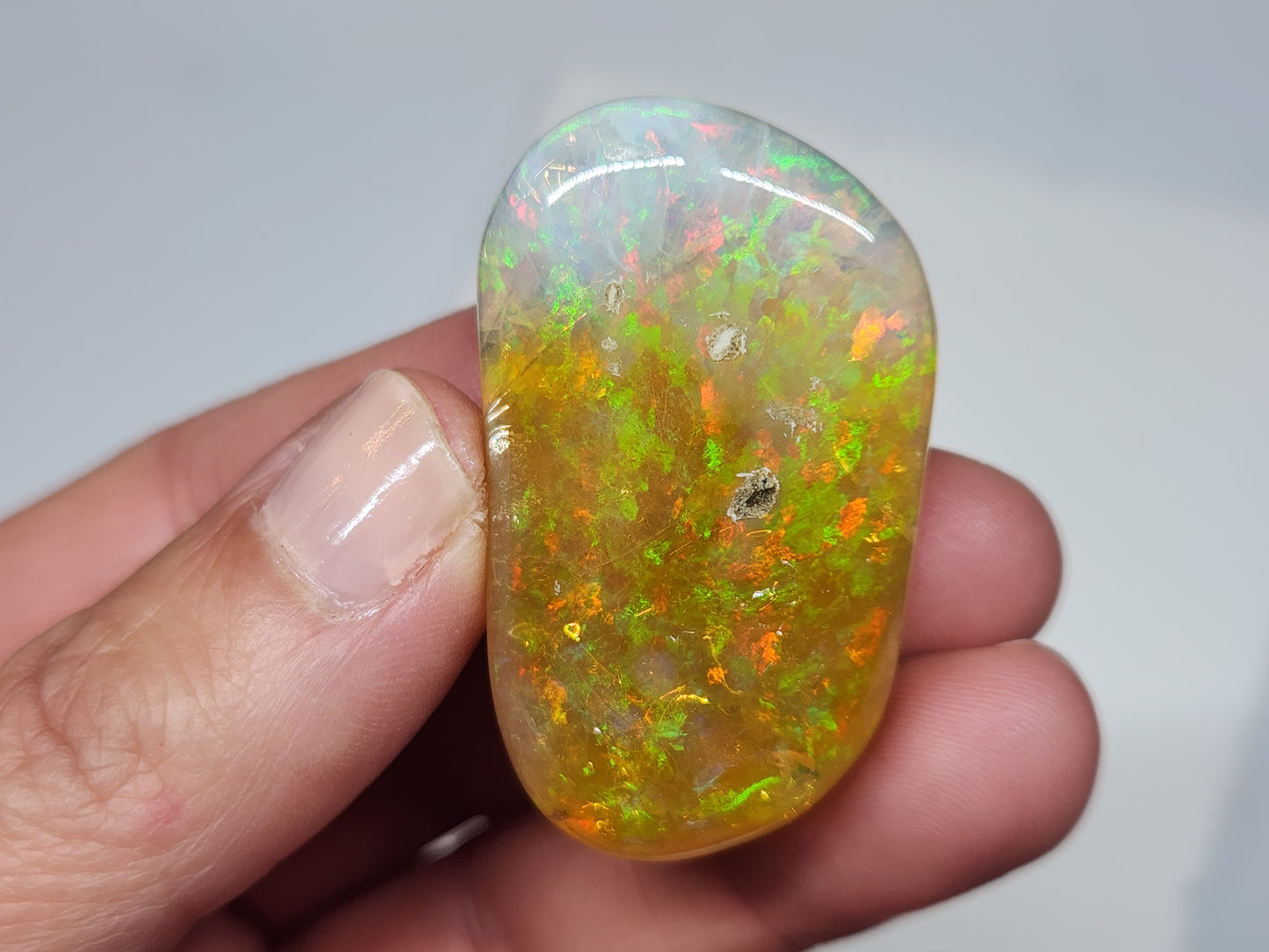 Ethiopian Polished Opal Specimen #562