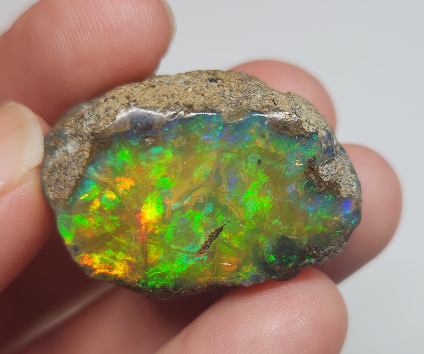 Natural Ethiopian Carved & Polished Opal Specimen #504