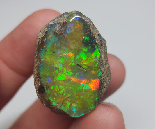 Natural Ethiopian Carved & Polished Opal Specimen #504