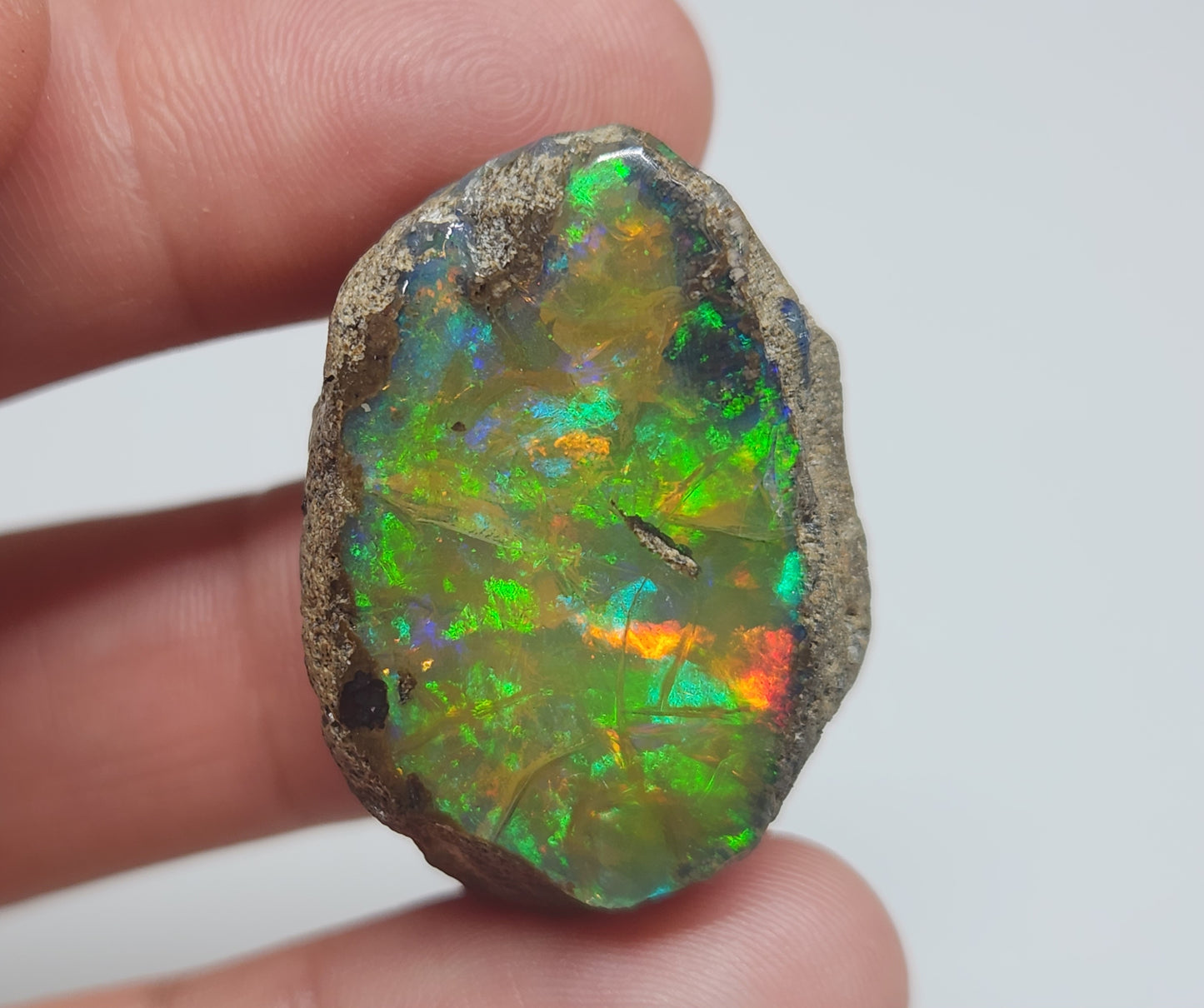 Natural Ethiopian Carved & Polished Opal Specimen #504