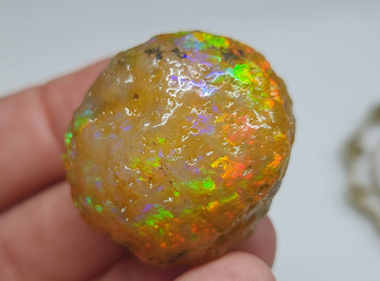 Natural Ethiopian Carved & Polished Opal Specimen #505
