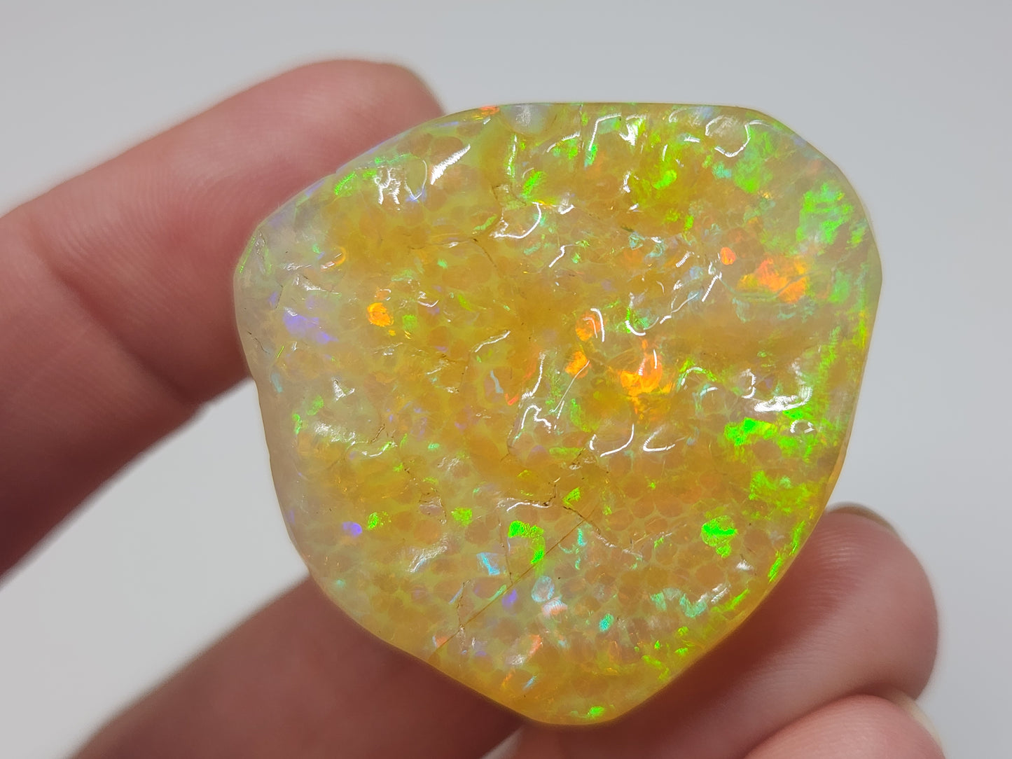 Natural Ethiopian Carved & Polished Opal Specimen #501