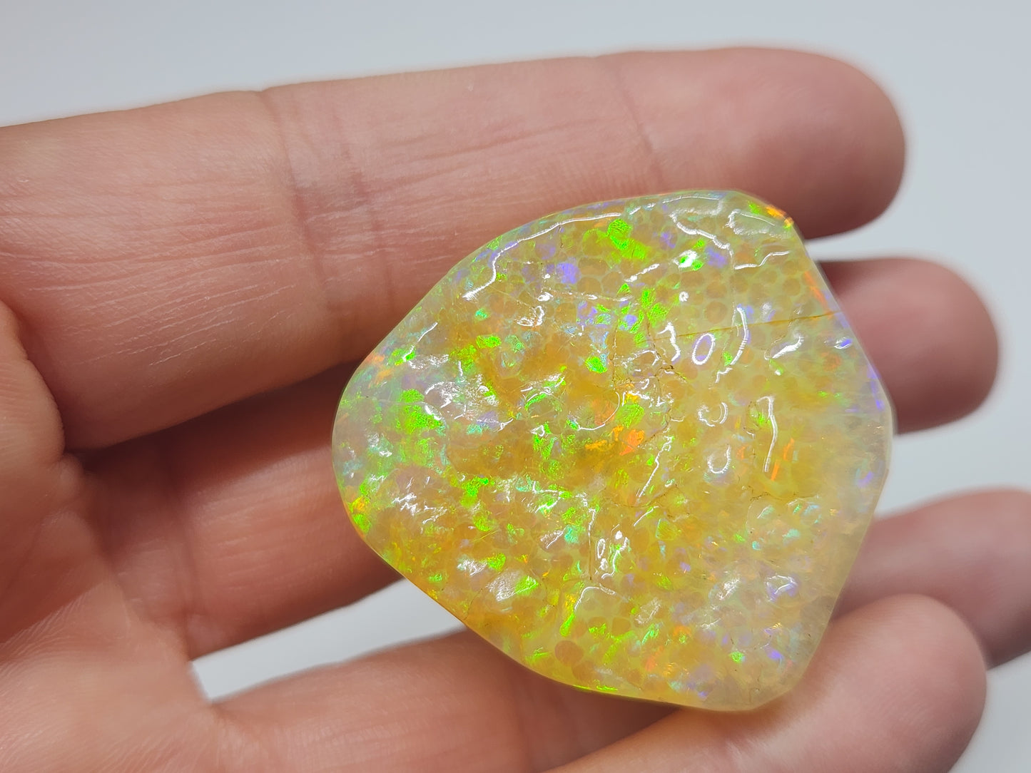 Natural Ethiopian Carved & Polished Opal Specimen #501
