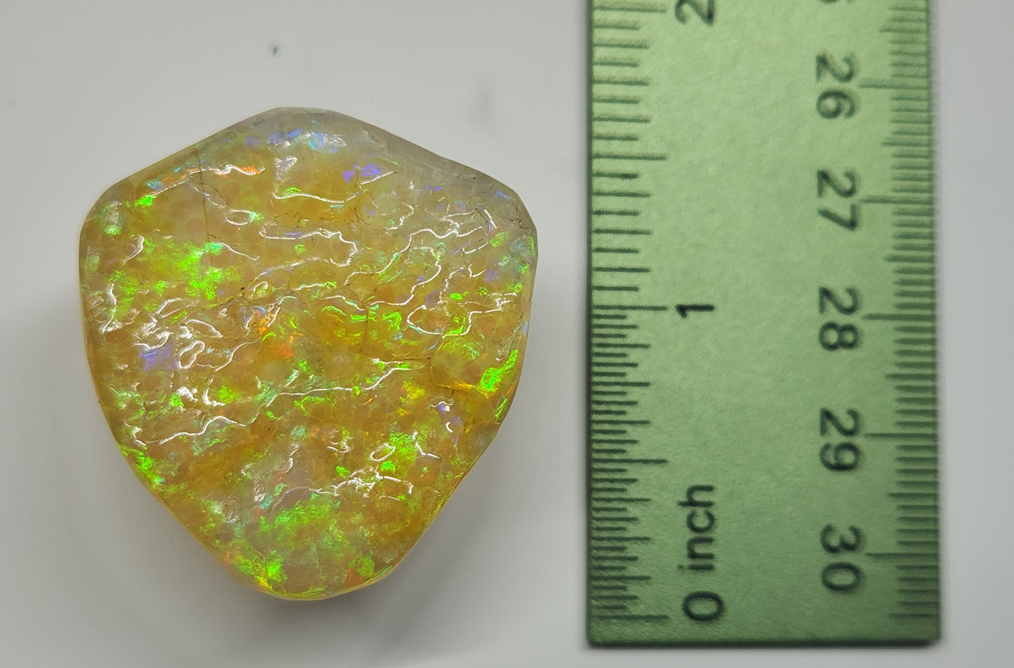 Natural Ethiopian Carved & Polished Opal Specimen #501