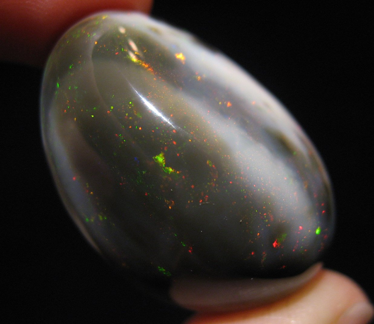 Natural Black Opal - 55.6 Carat Gemstone
