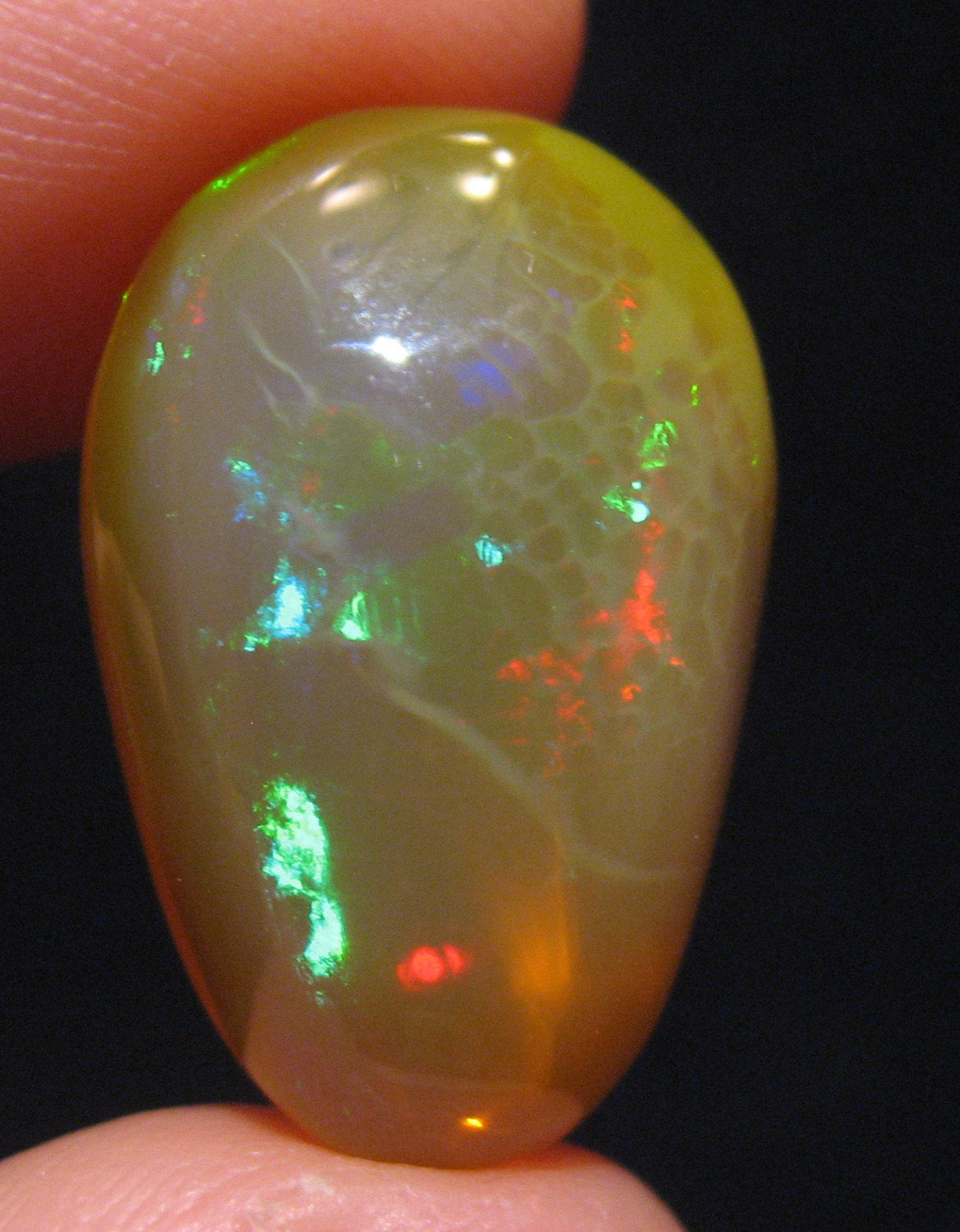 Opal - Loose Gemstone - 11.5 Carats #016