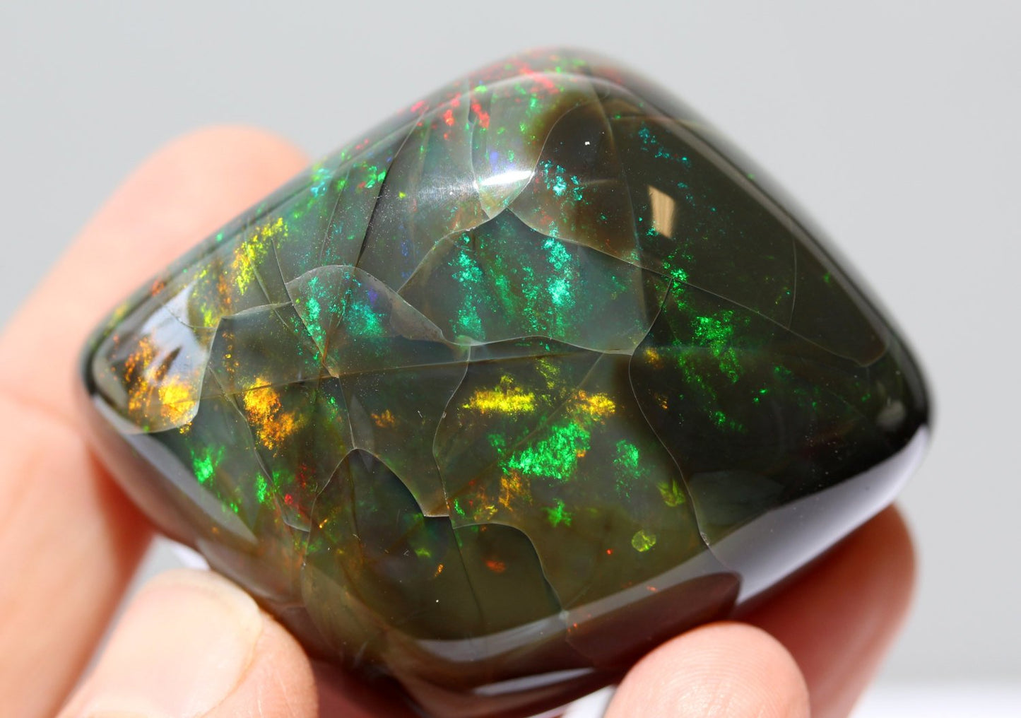 Rare Large Black Opal Specimen - Bright Bold Colors- 68.8 grams #1339