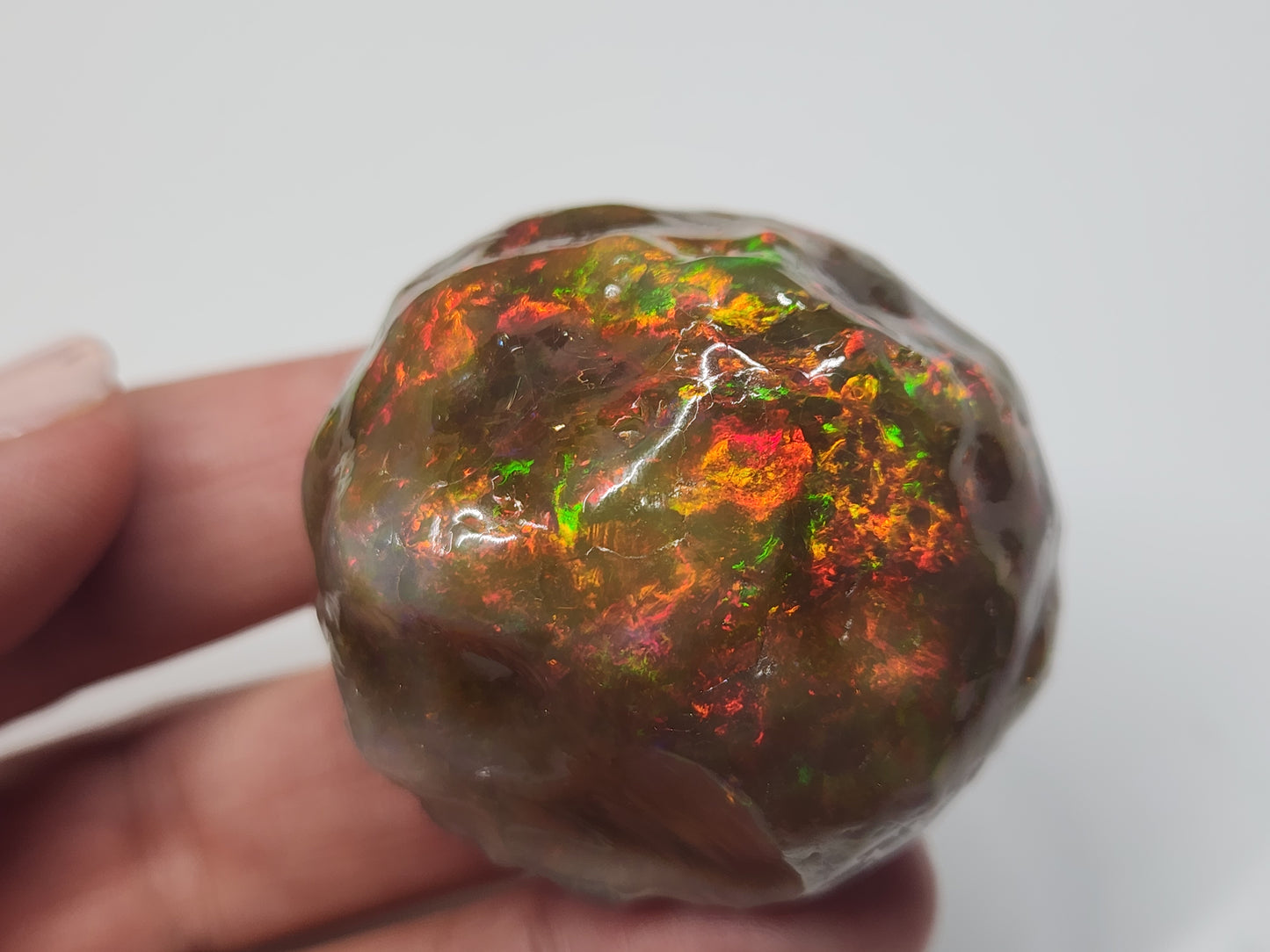 Natural Ethiopian Carved & Polished Opal Specimen #499