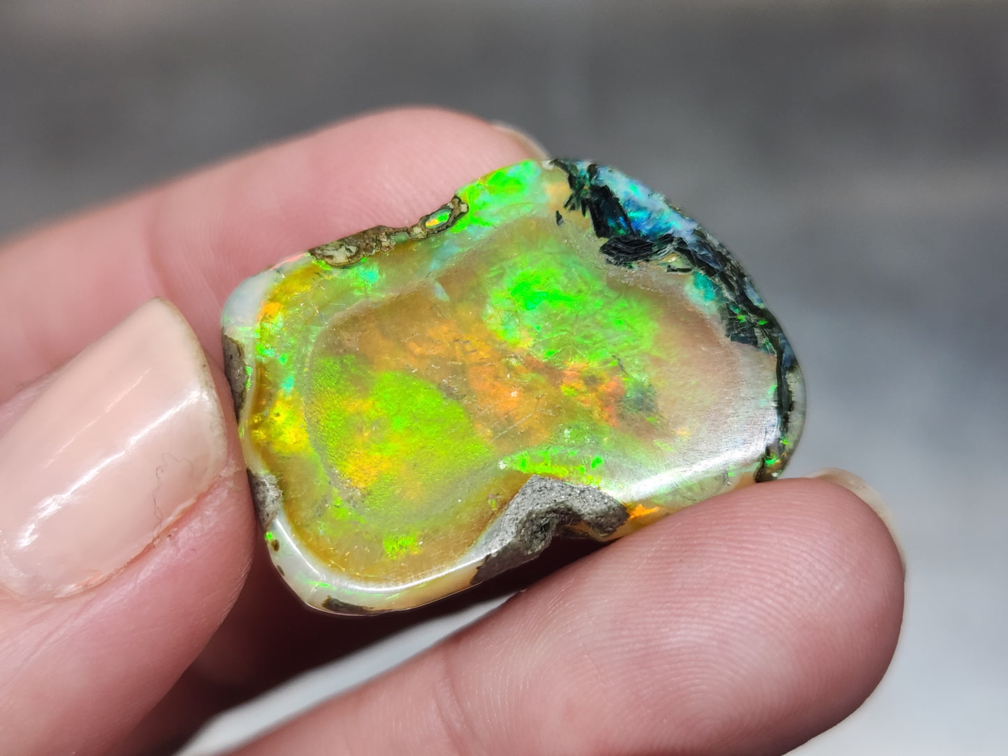 Ethiopian Polished Opal Specimen #542