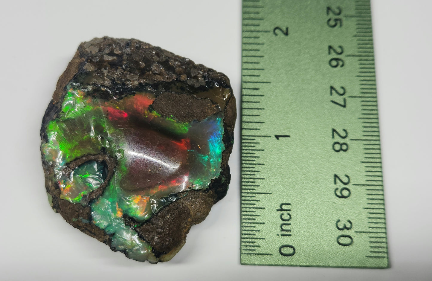 Natural Ethiopian Carved & Polished Opal Specimen #495