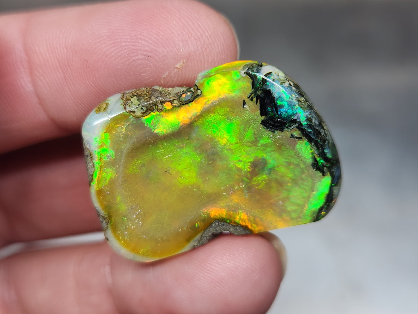 Ethiopian Polished Opal Specimen #542