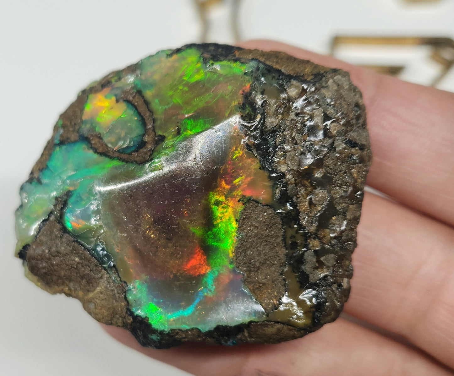 Natural Ethiopian Carved & Polished Opal Specimen #495