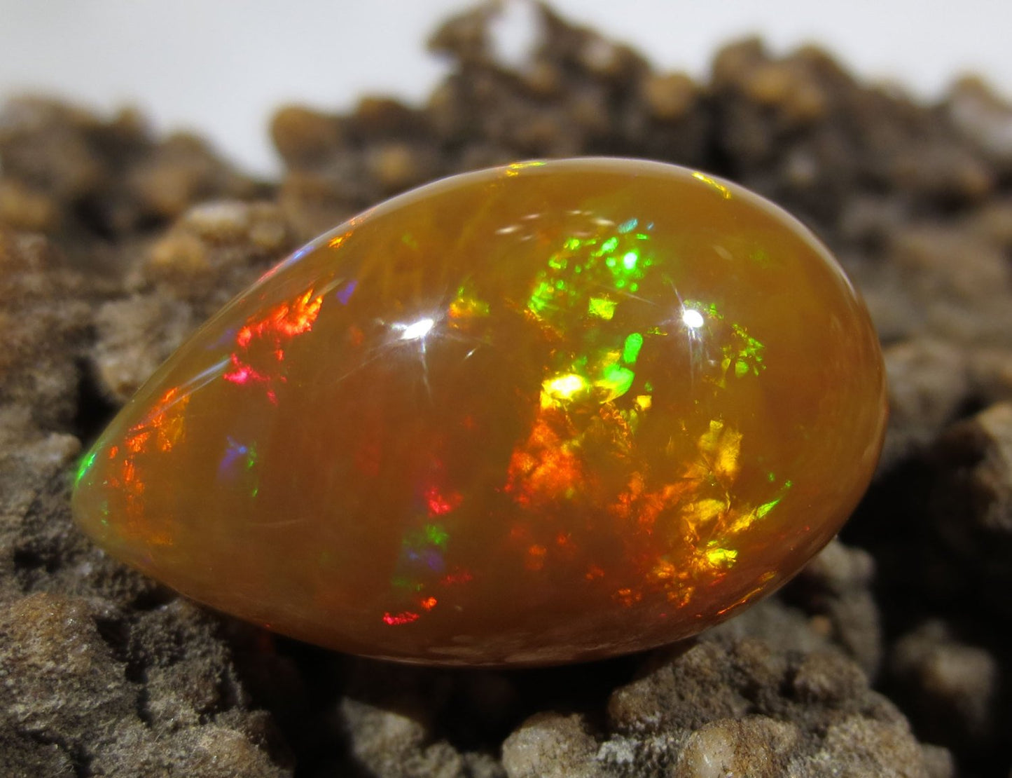 Brown Opal - Loose Gemstone - 13 Carat #1017